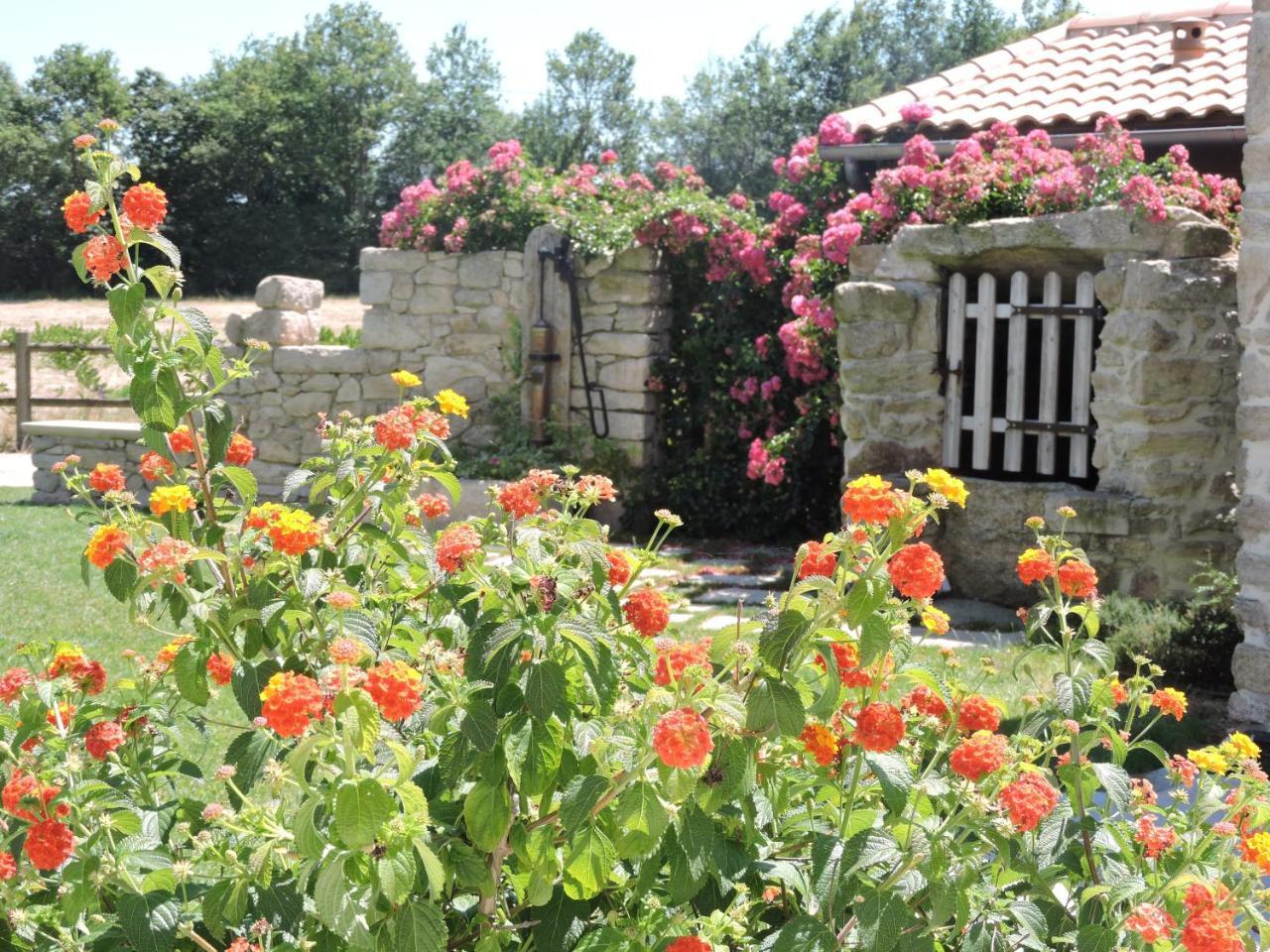 Le Manoir Du Pas Jahan Couëron Esterno foto